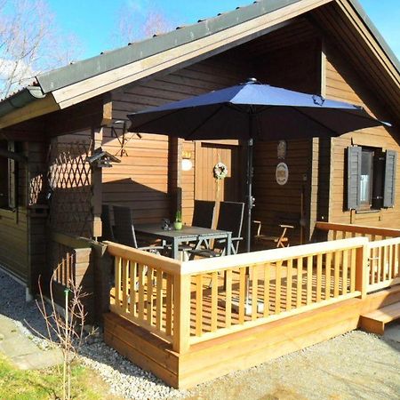 Komfortables Ferienblockhaus Nr. 27 -56 qm- bis 4 Personen Viechtach Jägerpark Exterior foto