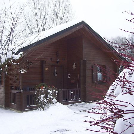 Komfortables Ferienblockhaus Nr. 27 -56 qm- bis 4 Personen Viechtach Jägerpark Exterior foto